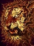 pic for Fire Lion